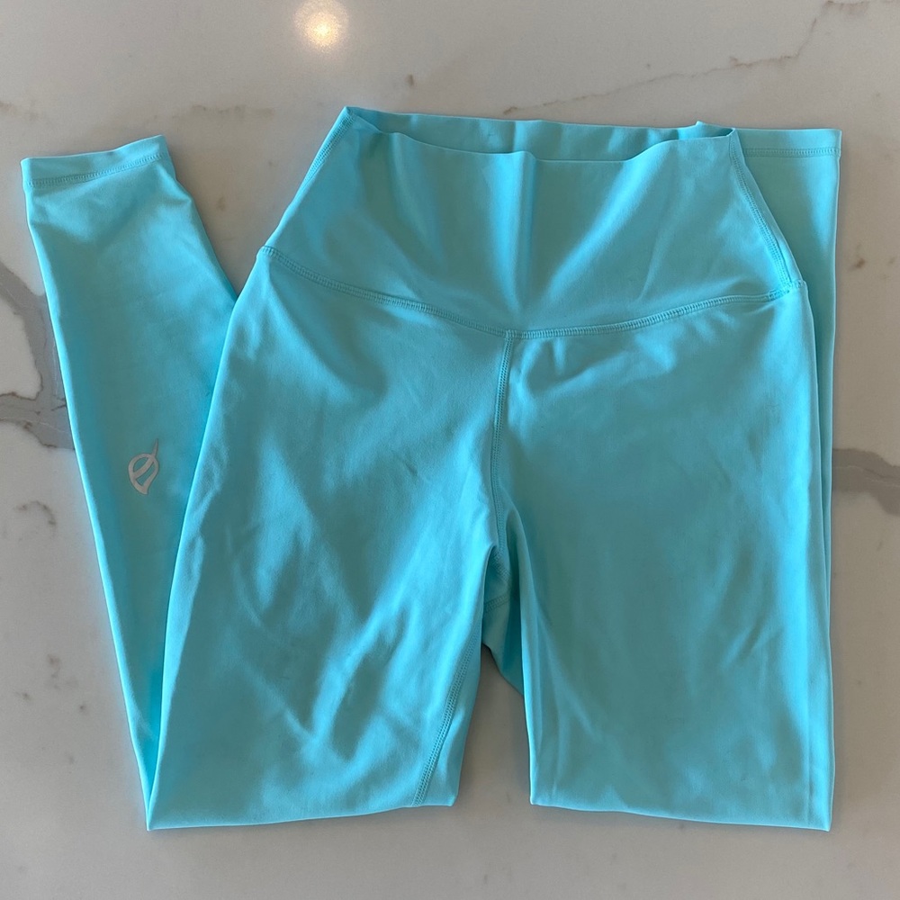 P’tula the desa'ree ii legging : 23" - mint